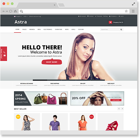 wordpress theme